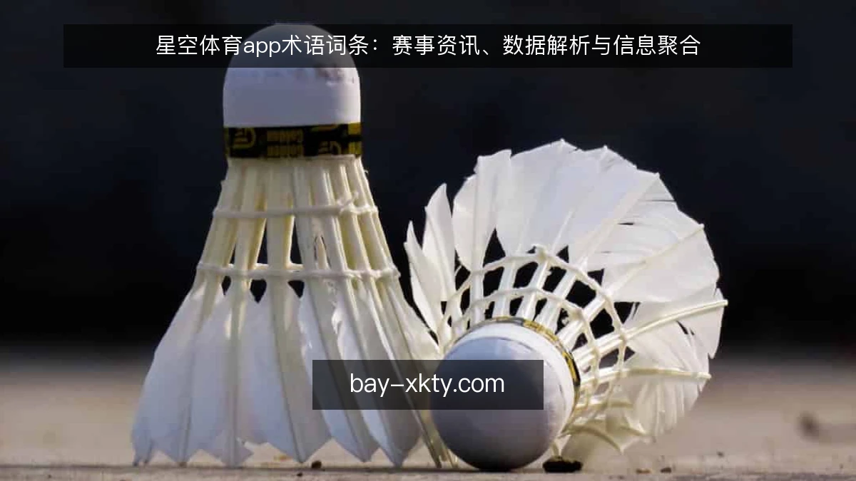 星空体育app术语词条：赛事资讯、数据解析与信息聚合